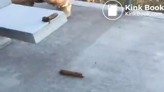 Girl shits