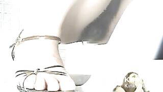 Public_Toilet_Poo_01