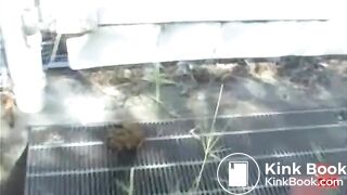 Adorable girl pooped her panties in front of a stranger with camera