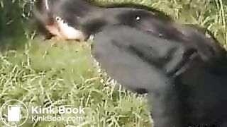 03547-kvf