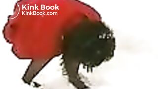 03136-kaf