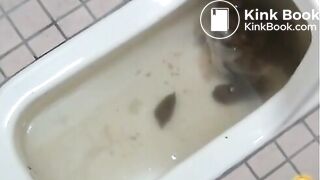 Over shitted toilet