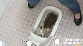 Over shitted toilet