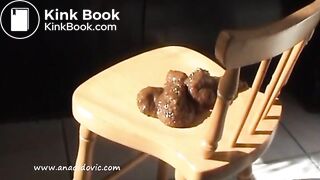 Shitting On A Chair
