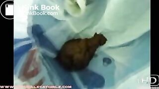clip3