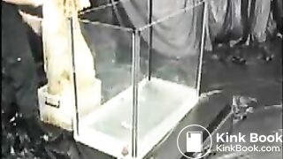 Water Polo Scat