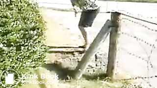 03548-kvf