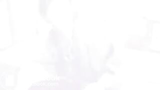 INU 06
