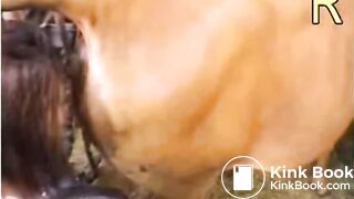 Asian Love Cow Shit