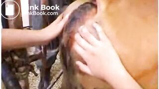 Asian Love Cow Shit