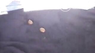 Scat: On a Boat
