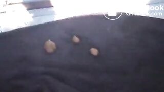 Scat: On a Boat