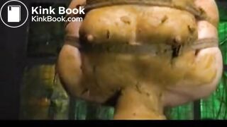 BDSM Scat Torture
