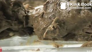 Asian Woman - Dream Turd 2