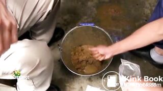 Japanese Scat And Pee Farmmp4