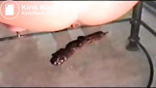 shitting
