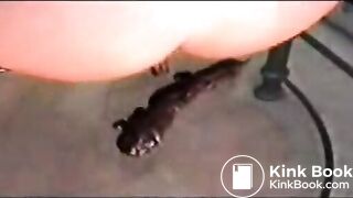 shitting
