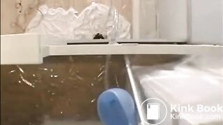 Installation of human toilet by Yuuki Aoi