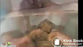 Shit Goggles Humiliation