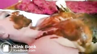 HUSBAND SHITS WIFE CUMS