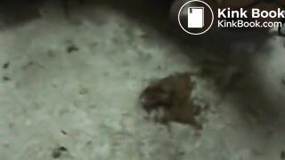 Rolling in her filth