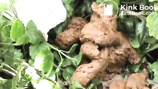 Shitting Behind A Dumpster