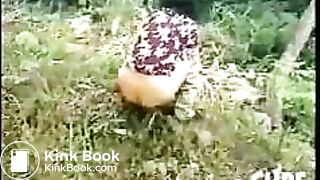 02624-kaf