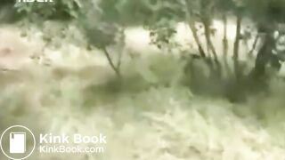 Outdoor Shit