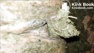 special shit eating and pussy stuffing!!