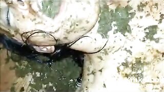 special shit eating and pussy stuffing!!