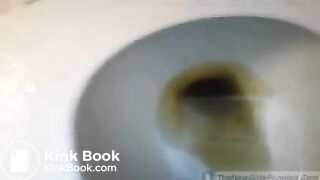 SCAT: Toilet Slut