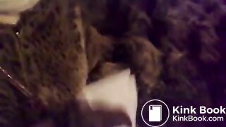 Just have a bite flv