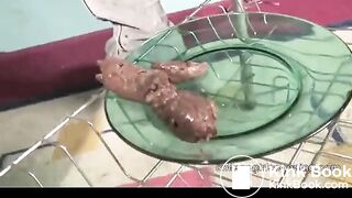 Teen shitting on the plate