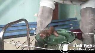 Teen shitting on the plate