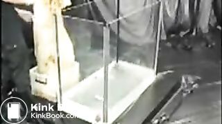 Japanese Scat 33