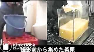 Japanese Scat 33