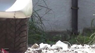 HD Takeout field shit1