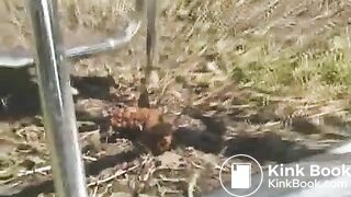 Pretty amateur ass is ready to produce some turds - Scat Video Collection