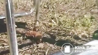 Pretty amateur ass is ready to produce some turds - Scat Video Collection