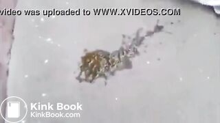 Public - Dirty Ass Passed Outmp4