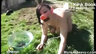 Piggy backyard humiliation
