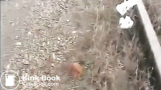 Shit on a rail road