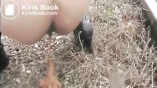 Shit on a rail road