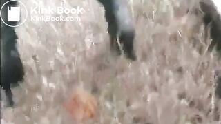 Shit on a rail road