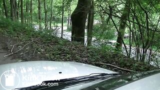 Pissing and diarrhea on the car hood