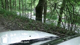 Pissing and diarrhea on the car hood