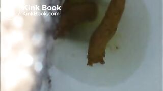 pooping compilation Dec 2013