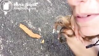 Seaside Log Drop