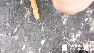Seaside Log Drop