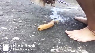 Seaside Log Drop